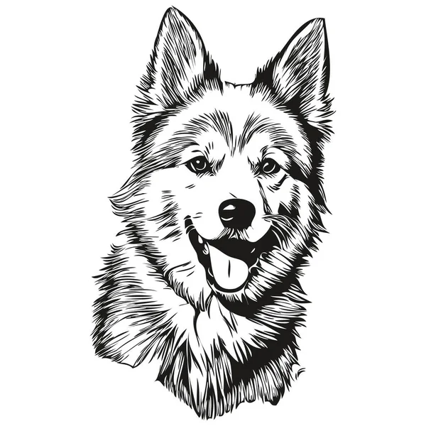 美国爱斯基摩犬的宠物狗轮廓 动物线条插图手绘黑白矢量草图 — 图库矢量图片