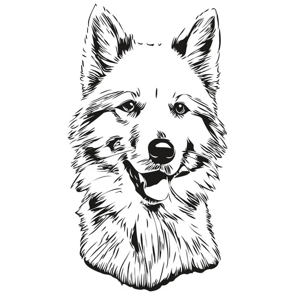 American Eskimo Pies Pet Skecz Ilustracja Czarny Biały Grawerowanie Wektor — Wektor stockowy