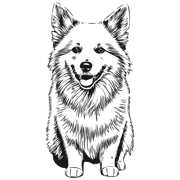Amerykański Eskimos Pies Realistyczny Zwierzak Ilustracja Ręka Rysunek Twarz Czarny — Wektor stockowy