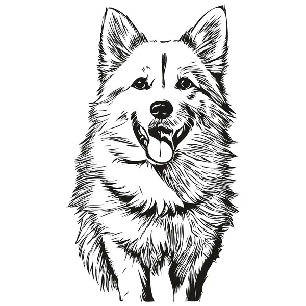 American Eskimo Hund Silhouette Pet Charakter Clip Art Vektor Haustiere — Stockvektor
