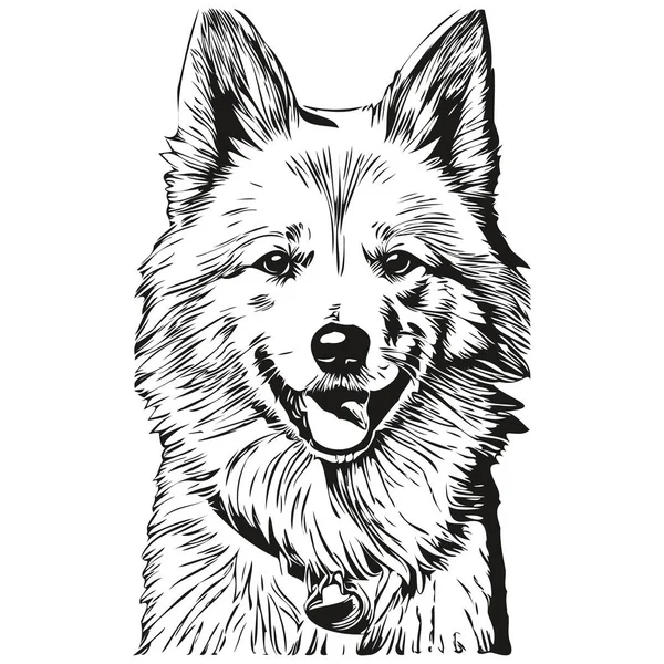 Американский Эскимосский Вектор Лица Собаки Рисунок Портрет Эскиз Винтажный Стиль — стоковый вектор