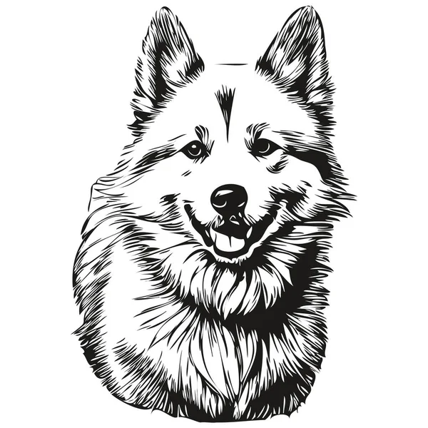 Gráficos Vetor Cão Esquimó Americano Ilustração Linha Animal Lápis Desenhada — Vetor de Stock