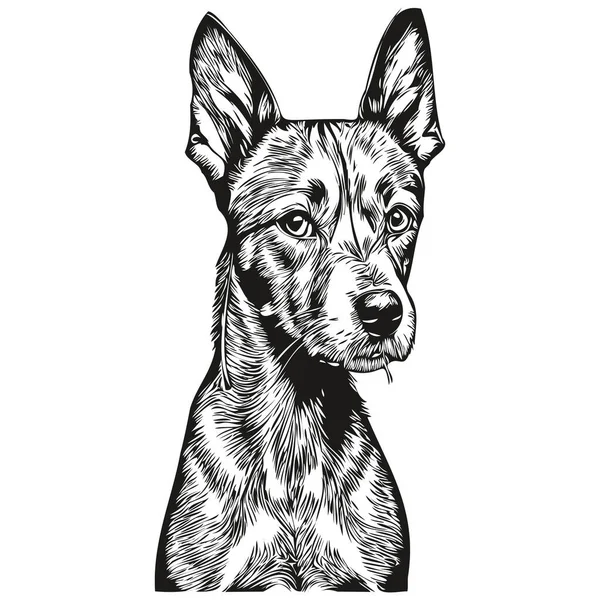 American Hairless Terrier Cão Preto Desenho Vetor Isolado Rosto Pintura — Vetor de Stock