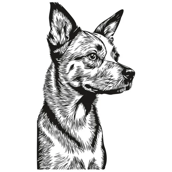American Hairless Terrier Hunderasse Linienzeichnung Clip Art Tier Hand Zeichnung — Stockvektor