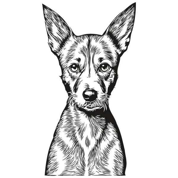 American Hairless Terrier Perro Dibujado Mano Logo Dibujo Blanco Negro — Vector de stock