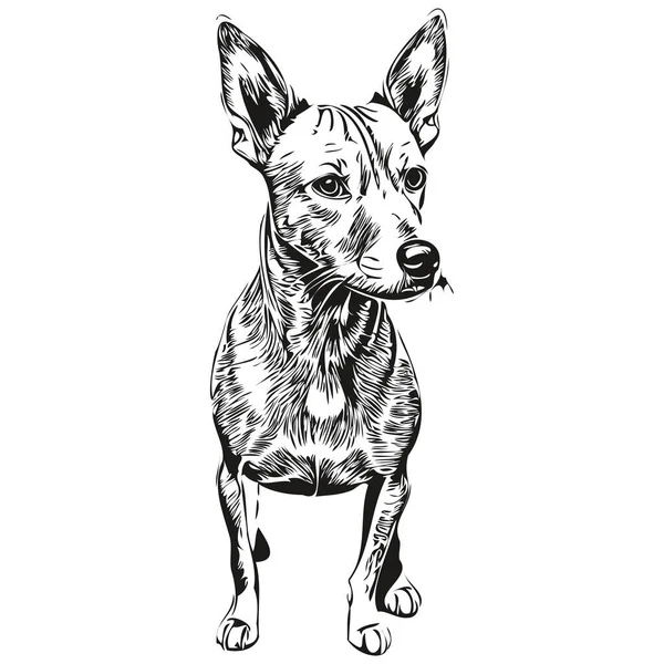 American Hairless Teriér Pes Ručně Kreslené Logo Kreslení Černá Bílá — Stockový vektor