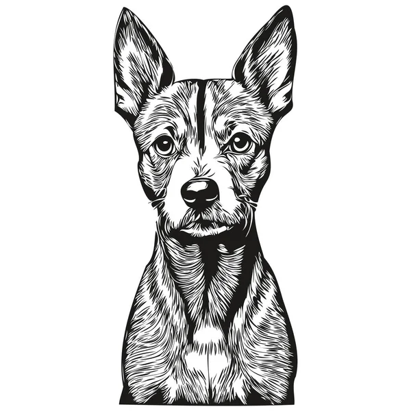 American Hairless Terrier Cão Linha Ilustração Tinta Preta Branca Retrato — Vetor de Stock