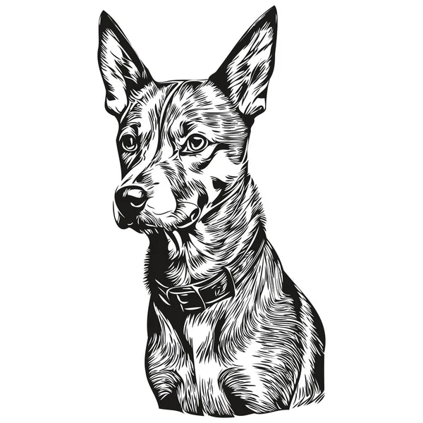 American Hairless Terrier Pies Logo Wektor Czarno Biały Vintage Cute — Wektor stockowy