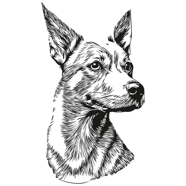 American Hairless Terrier Hund Bleistift Handzeichnung Vektor Umriss Illustration Haustier — Stockvektor