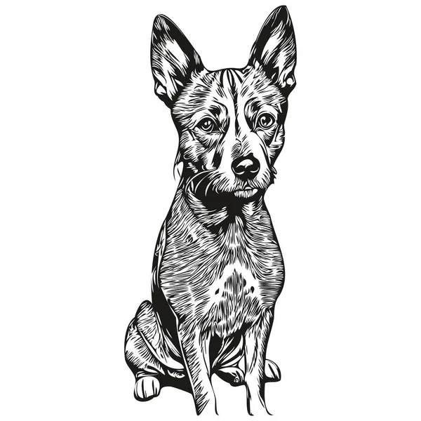 American Hairless Terrier Perro Contorno Lápiz Dibujo Ilustraciones Carácter Negro — Archivo Imágenes Vectoriales