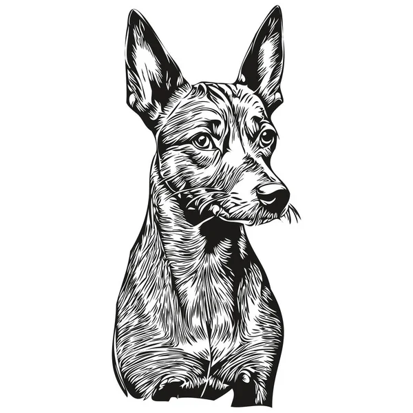 American Hairless Terrier Hund Silhouette Haustier Charakter Clip Art Vektor — Stockvektor