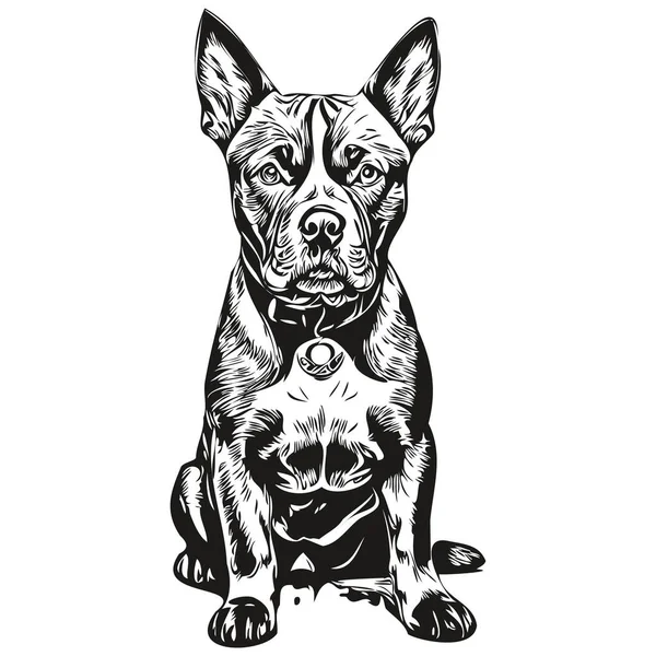 Американский Стаффордширский Терьер Рисунок Породы Собаки Клип Животного Руки Рисования — стоковый вектор