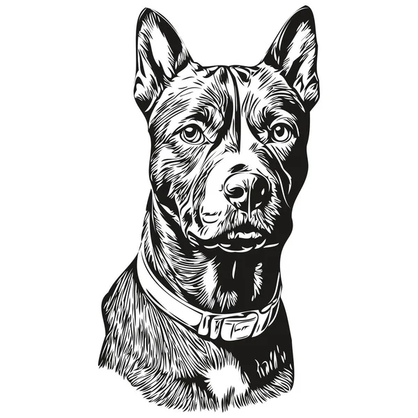 Amerika Staffordshire Anjing Terrier Garis Keturunan Gambar Klip Tangan Hewan - Stok Vektor
