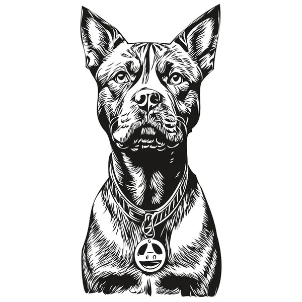 American Staffordshire Terrier Dog Cartoon Face Ink Portrait Black White - Stok Vektor