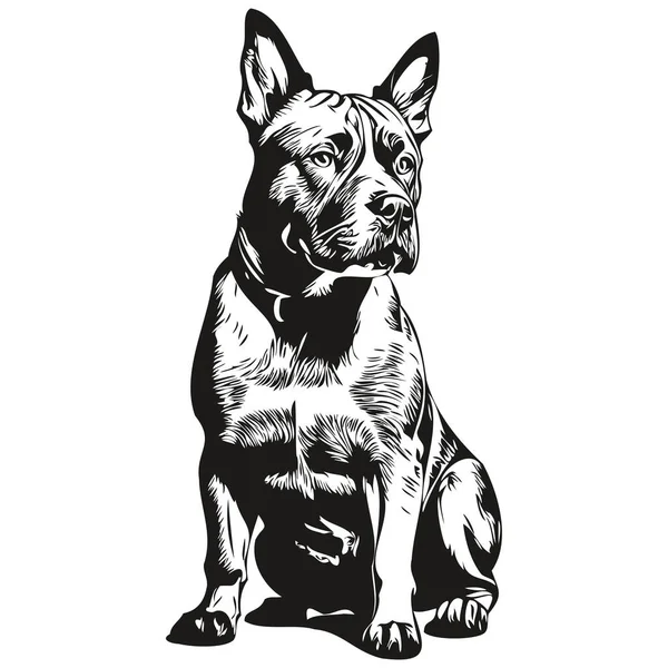 American Staffordshire Terrier Cão Mão Desenhada Logotipo Desenho Preto Branco —  Vetores de Stock