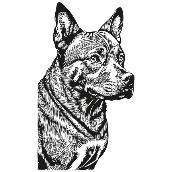 American Staffordshire Terrier köpek karikatürü yüz resmi, siyah beyaz çizim, tişört baskısı çizimi