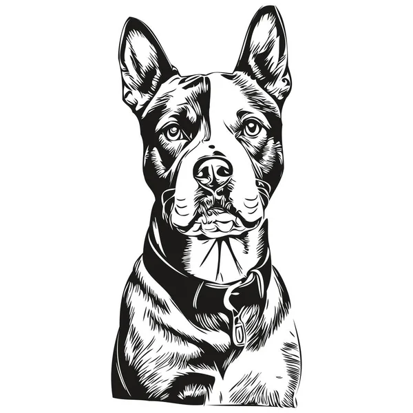 American Staffordshire Terrier Dog Face Vector Portrait Funny Outline Pet - Stok Vektor