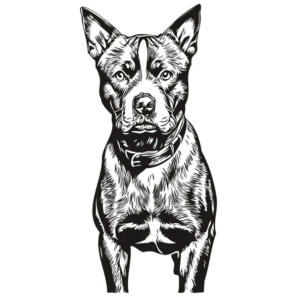 American Staffordshire Terrier Cão Mão Desenhada Logotipo Desenho Preto Branco —  Vetores de Stock