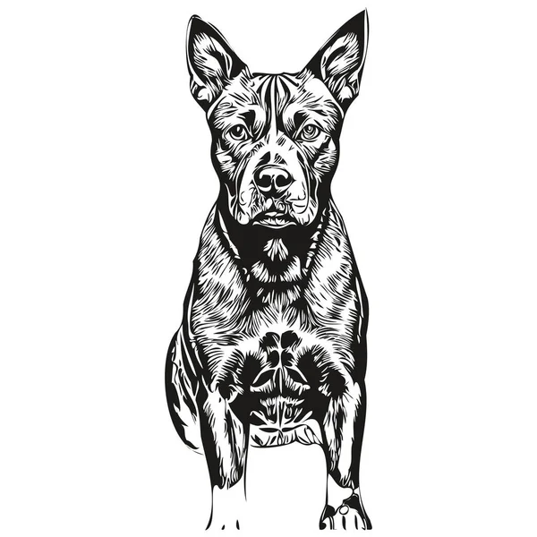 American Staffordshire Terrier Hund Kontur Penna Teckning Konstverk Svart Karaktär — Stock vektor