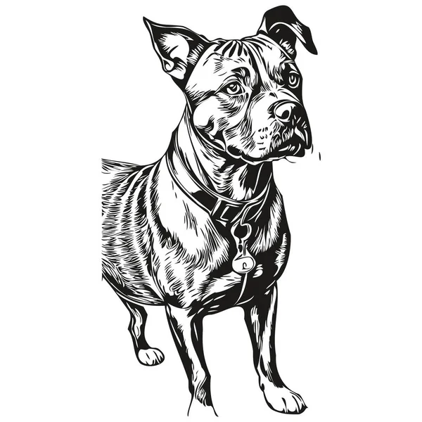Американский Стаффордширский Терьер Логотип Собаки Вектор Черно Белый Винтажные Милые — стоковый вектор
