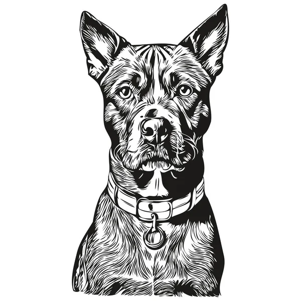 American Staffordshire Terrier Dog Line Illustration Black White Ink Sketch — Stock Vector