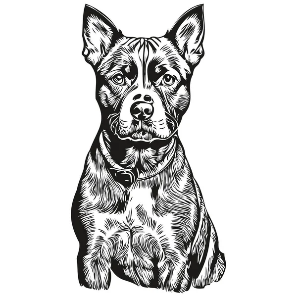 アメリカのスタッフォードシャーテリア犬アウトライン鉛筆画アートワーク 白の背景に黒の文字現実的な品種のペット — ストックベクタ