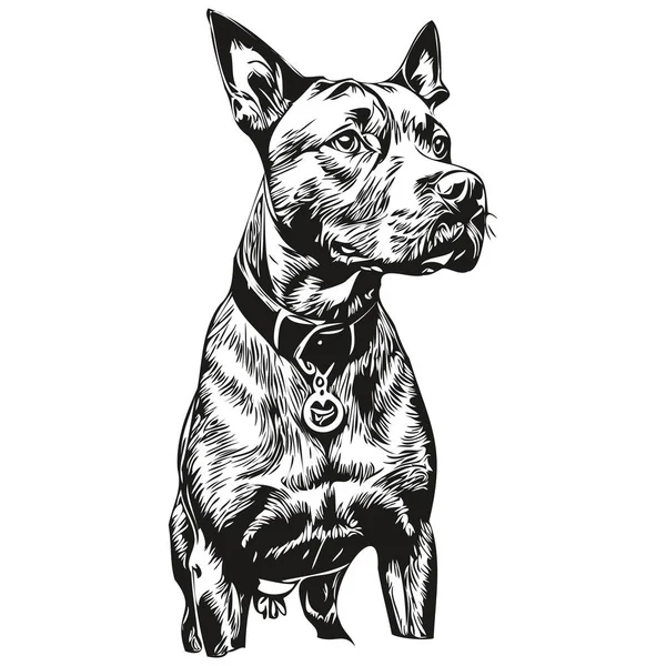 American Staffordshire Terrier Dog Silhouette Animal Line 손으로 스케치 — 스톡 벡터