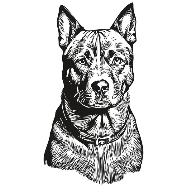 American Staffordshire Terrier Cão Pet Silhueta Animal Linha Ilustração Mão —  Vetores de Stock