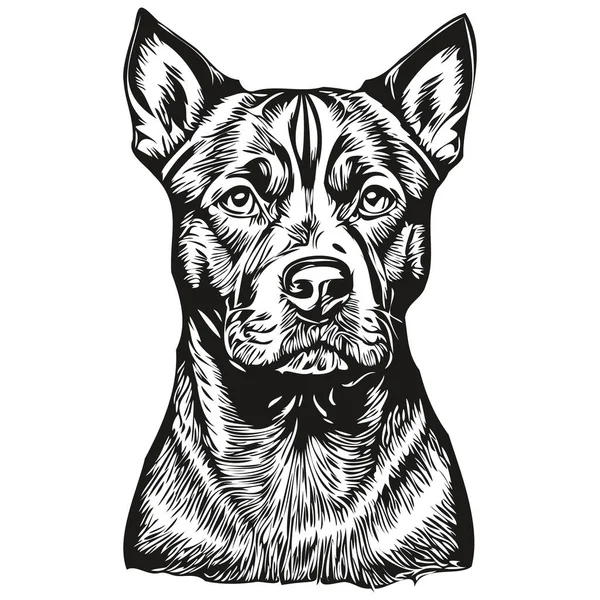 American Staffordshire Terrier Dog Realistic Pencil Drawing Vector Line Art — Stock Vector