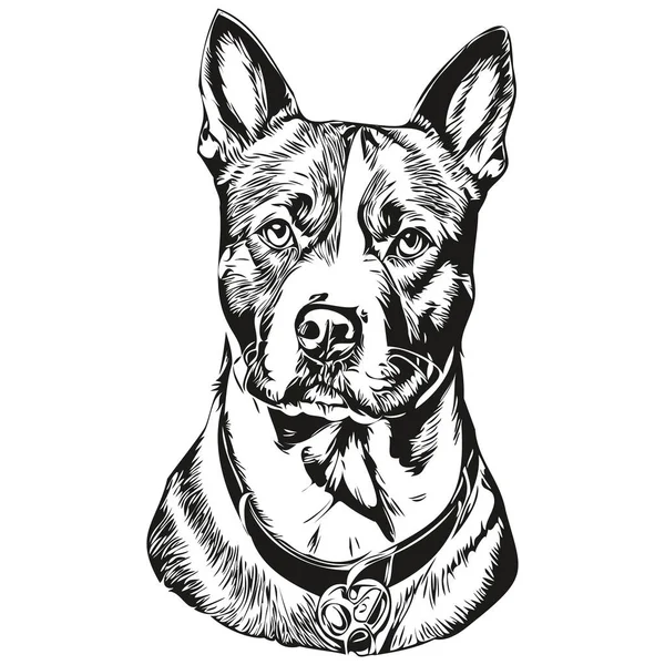 Amerika Staffordshire Terrier Anjing Siluet Hewan Peliharaan Karakter Clip Art - Stok Vektor