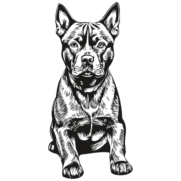 American Staffordshire Karakter Hewan Peliharaan Anjing Siluet Terrier Clip Art - Stok Vektor