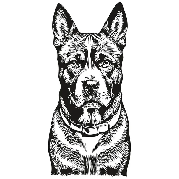 American Staffordshire Terrier Dog Vector Face Draw Portrait Sketch Vintage — 스톡 벡터