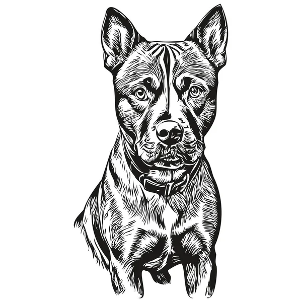 American Staffordshire Terrier Dog Vector Graphics Hand Draw Pencil Animal — 스톡 벡터