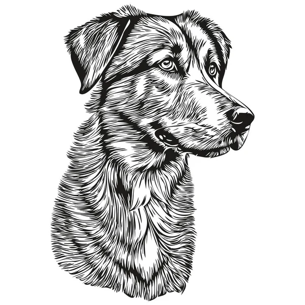 Anatolian Shepherd Dog Logo Vector Black White Vintage Cute Dog — Stockvektor