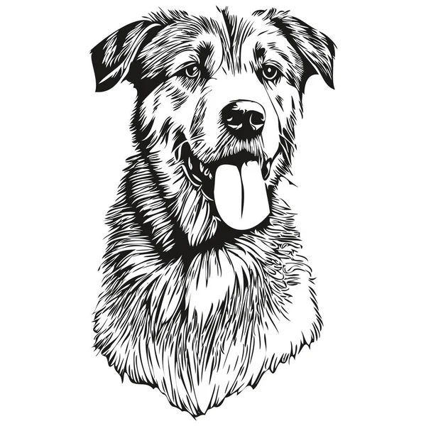 アナトリア羊飼い犬アウトライン鉛筆画作品 白の背景に黒の文字現実的な品種のペット — ストックベクタ