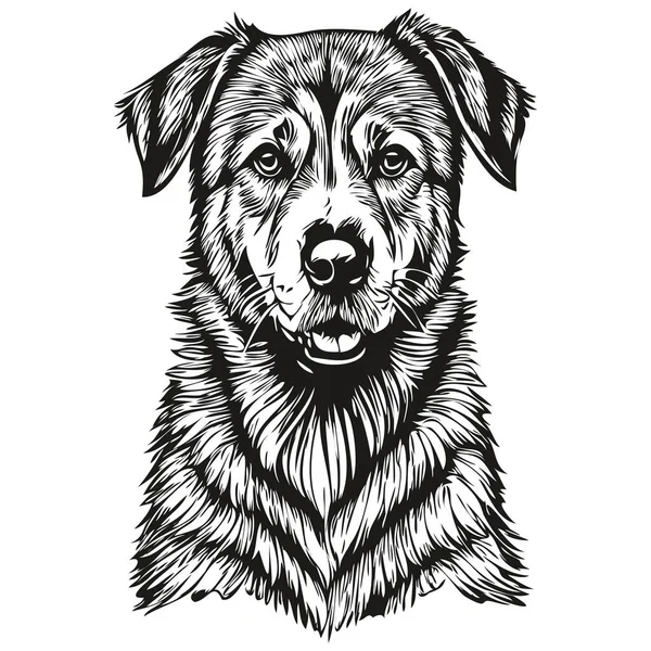 Anatolian Shepherd Dog Bosquejo Lápiz Dibujo Ilustraciones Carácter Negro Sobre — Vector de stock