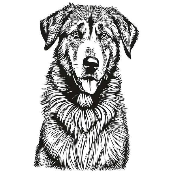 Anatolian Shepherd Cão Pet Silhueta Animal Linha Ilustração Mão Desenhado — Vetor de Stock