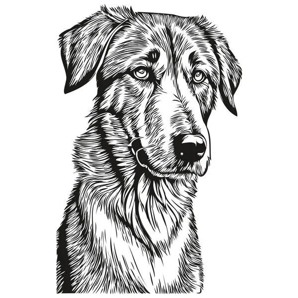 Anatolian Shepherd Dog Pencil Hand Drawing Vector Outline Illustration Pet - Stok Vektor