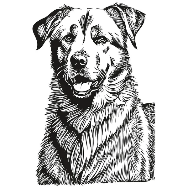 Anatolian Shepherd Cão Pet Esboço Ilustração Preto Branco Gravura Vetor — Vetor de Stock