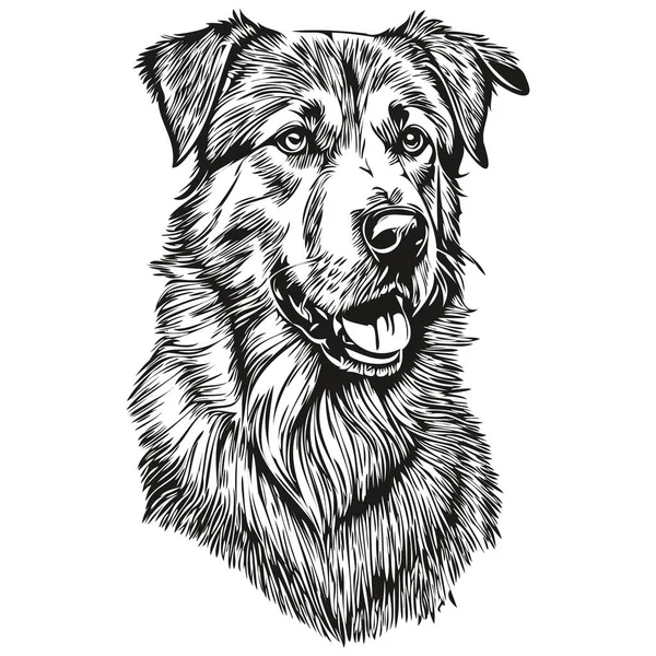 Anatolian Shepherd Gráficos Vetor Cão Mão Desenhada Lápis Animal Linha — Vetor de Stock