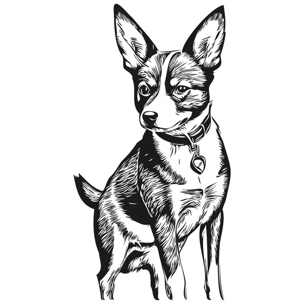 Basenji Dog Black Drawing Vector Isolated Face Painting Sketch Line — 스톡 벡터