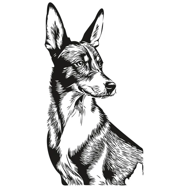 Basenji Dog Cartoon Gesicht Tusche Porträt Schwarz Weiß Skizzenzeichnung Shirt — Stockvektor