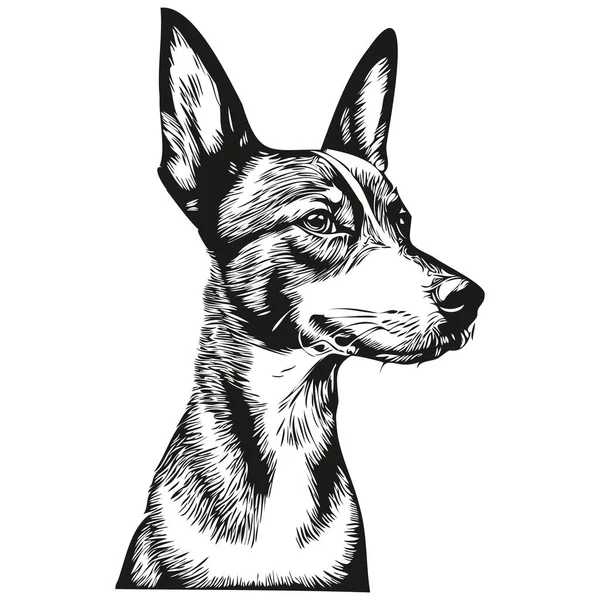 Basenji Pies Głowa Linii Rysunek Wektor Ręcznie Rysowane Ilustracja Przezroczystym — Wektor stockowy