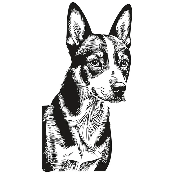 Basenji Pies Głowa Linii Rysunek Wektor Ręcznie Rysowane Ilustracja Przezroczystym — Wektor stockowy