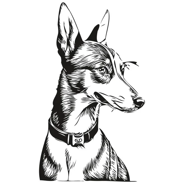 Basenji Σχέδιο Μελάνι Σκυλιών Vintage Τατουάζ Πουκάμισο Εκτύπωση Μαύρο Και — Διανυσματικό Αρχείο