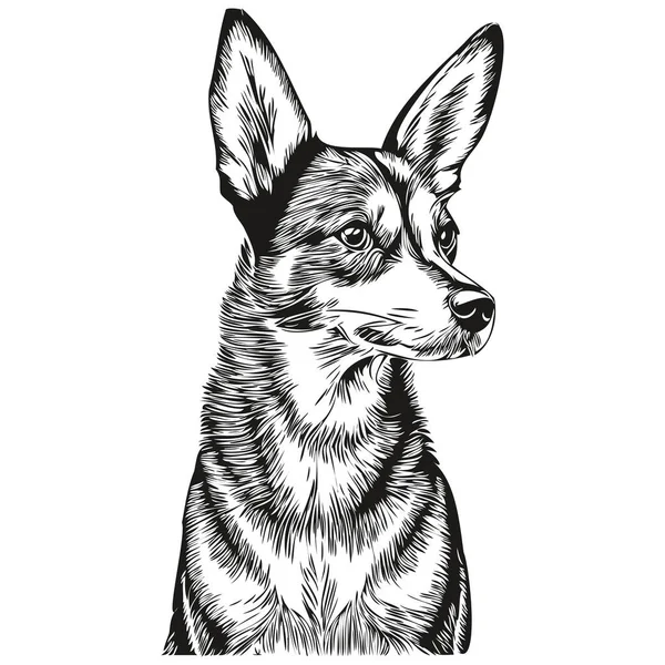 Basenji Dog Line Illustration Black White Ink Sketch Face Portrait — 스톡 벡터