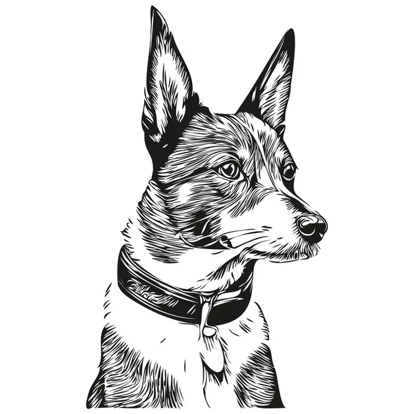Basenji Pes Pet Skica Ilustrace Černobílé Rytí Vektor — Stockový vektor