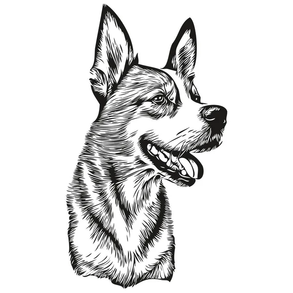 Basenji Hundeporträt Vektorform Tierhandzeichnung Für Tätowierung Oder Shirt Print Illustration — Stockvektor