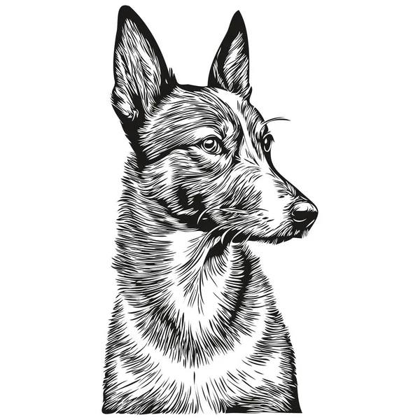 Basenji Hund Realistische Haustier Illustration Handzeichnung Gesicht Schwarz Weiß Vektor — Stockvektor