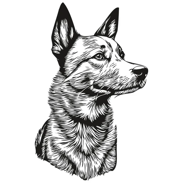 Basenji Hund Silhouette Haustier Charakter Clip Art Vektor Haustiere Zeichnung — Stockvektor